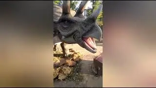 Золотая осень и Парк Юркского периода в Новой Каховке 👌