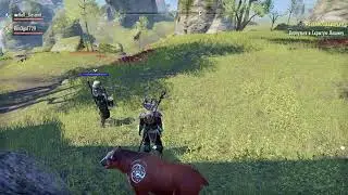 The Elder Scrolls Online
