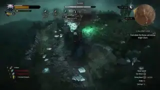 The Witcher 3 - Penitent fight death march NG+