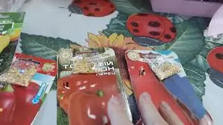 Обзор по семенам перца🌹🌹🌹