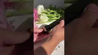 ЛУЧШАЯ ПОМАДА НА ВЕСНУ🌸YSL💄THE BOLD оттенок 12 
