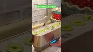 Hydroponic Herb Garden | So Easy!! 👀😲💯🌿🌸🥬