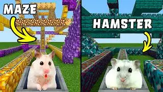 Hamster in Adventures: Rainbow maze Minecraft & Epic Roller Coaster