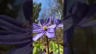 С первым мая 🤗