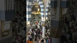 Surah Hadeed Ayat 21-22 | Urdu Translation #shorts