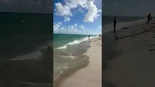 Miami, FL #miami #florida #miamibeach #shorts #shortvideo #shorts