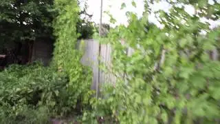 Построена арка для винограда своими руками
