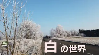 【DIY家具】White World　ある日の朝　白い世界が。北海道でのんびり家具作り　森と空.