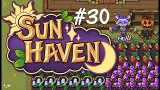 #30 - Sun Haven