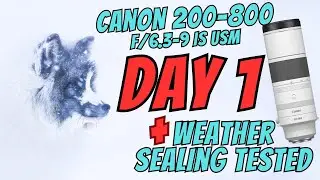 CANON RF 200-800f/6.3-9 IS USM - DAY 1 | WEATHER SEALING TESTED + GIVEAWAY WINNERS !