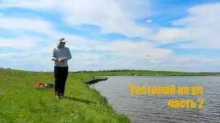 Толстолоб на ультралайт часть 2