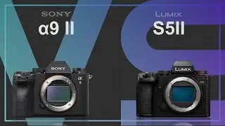 Sony alpha a9 II vs Panasonic Lumix S5II