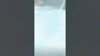 Я а лайке