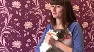 Сюжет про Мусю на ТНТ