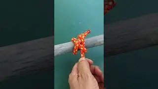 SLIP Knot 