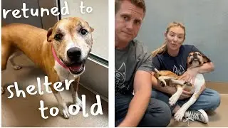 Family Turned her in because she’s “Too Old”!? (🔴 Live)