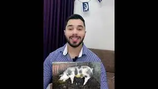 لحم الخنزير طعمة لذيذ جدا علي فكرة !