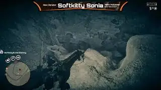 Red Dead Redemption 2 Online Treasure Hunter