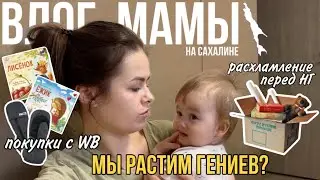 Мы растим гениев? | расхламление перед НГ | покупки на ВБ | развивающие игры | Влог мамы (66)