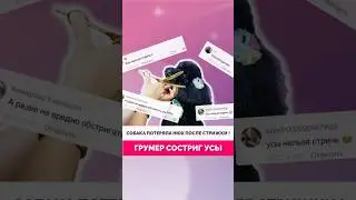 Стричь усы нельзя оставить! Полный ролик уже на канале