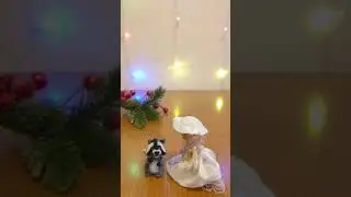 Would you do that?
