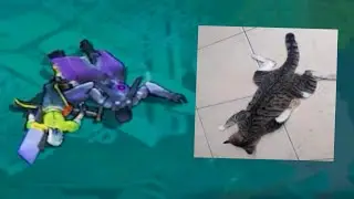 tidur pun sodap ni 😴 - Mobile Legends Indonesia
