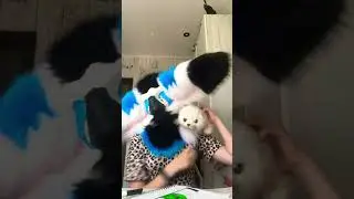 Теперь у меня есть тгк!!! Ссылка в комментах #фури #врек #врек #furry #furry
