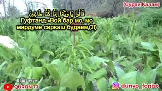 Сураи Қалам 1-52