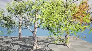 Realistic Gum Tree 3D Animation with unreal engine and other 3d files for download