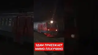 ЭД4М СЛЕДУЕТ МИМО ПЛ. КУЧИНО // МЦД-4 #asmr #train #поезд