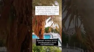 ЧТО ПРИВЕДЁТ К ИЗОБИЛИЮ?