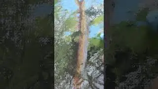 пленер