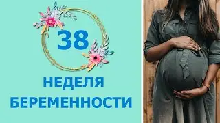 38 Неделя Беременности. Развитие плода и ощущения мамы