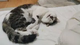 Deep sleep