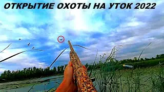 ОТКРЫТИЕ ОХОТЫ НА УТКУ 2022!!! Розыгрыш ножа от Ножевая Мастерская Самойлова В.М  / MAX HUNTER