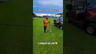 CATCHING BIG LIZARDS! 