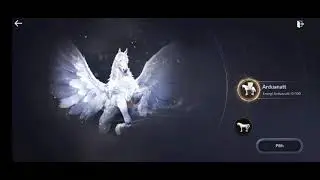 Black Desert Mobile - Redeem Dream Horse Coupon ( Arduanatt )
