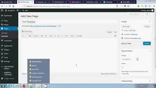 Simple Text Rotator Wordpress Plugin - Installation Video