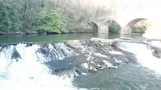 Heron in the Torridge, Filmed with Mavic pro