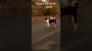 हे प्रभु ए क्या  जमाना आगया😀😀 #funney