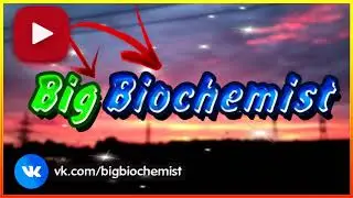 INTRO КАНАЛА BigBiochemist