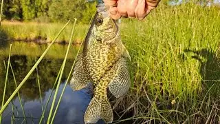 California Small Pond Fishing & Camping