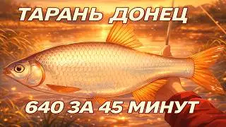 ТАРАНЬ ФАРМ | 640 СЕРЕБРА за 45 МИНУТ | ПОЙМАЛ трофей ТАРАНИ | Северский ДОНЕЦ | рр4