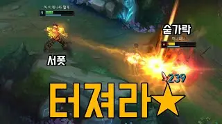 서폿의 꿈