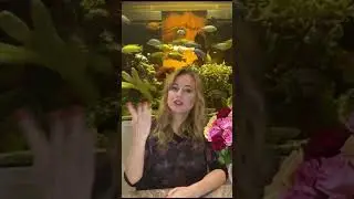 Про абъюз коротко. 