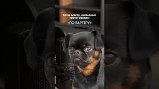 один вопрос: совесть есть? 