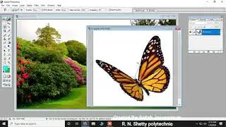 Garden and butterfly