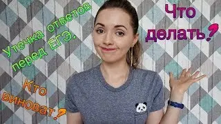 УТЕЧКА ОТВЕТОВ на ЕГЭ-2018 \ ЧТО ДЕЛАТЬ и КТО ВИНОВАТ? [IrishU]