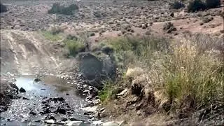 Nevada - Carson City - Jumbo Grade Road OHV - May - 2022