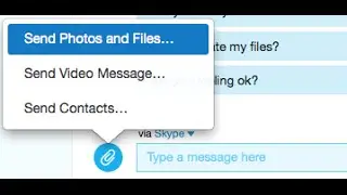 HOW TO GET ALL PICTURES ON SKYPE - MAC ❓❓